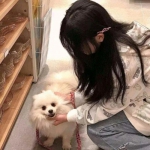 皇后成长计划2无敌版下载